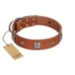"Lucky Star" FDT Artisan Tan Leather English Pointer Collar with Silver-Like Embellishments