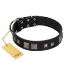"Foregone Riches" FDT Artisan Black Leather English Pointer Collar with Old Silver-like Square Studs and Pyramids