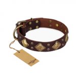 "Golden Square" FDT Artisan Brown Leather English Pointer Collar with Large Squares