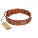 "Woofy Majesty" FDT Artisan Tan Leather English Pointer Collar with Round Silver-like Plates