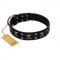 "Black Jack" Stylish Handmade FDT Artisan Black Leather English Pointer Collar