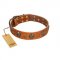 "Rockstar" FDT Artisan Tan Leather English Pointer Collar with Engraved Studs and Medallions