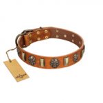 "Strike of Rock" FDT Artisan Tan Leather English Pointer Collar with Plates and Medallions with Skulls