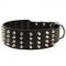 Extra Wide 4 Rows Studded Leather English Pointer Collar