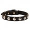 Beautiful Leather English Pointer Collar Decorated with Half-Ball Studs
