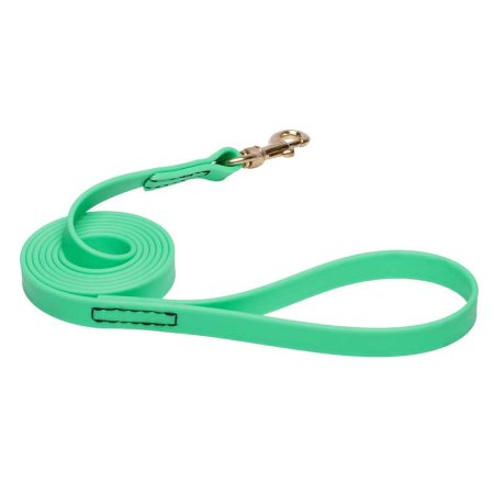 Green Waterproof English Pointer Leash Made of Biothane