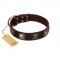 "Nut-Brown Finery" Embellished FDT Artisan Brown Leather English Pointer Collar with Chrome Plated Crossbones and Plates