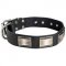 Leather English Pointer Collar Massive Nickel-covered Plates