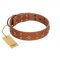 "Dreamy Gleam" FDT Artisan Tan Leather English Pointer Collar Adorned with Stars and Squares