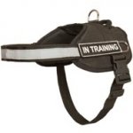 Nylon English Pointer Harness with Reflective Strap for Training, Walking, Police Service, SAR and More