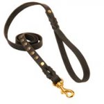 Studded Leather English Pointer Leash for Dog Walking and Training