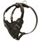 Protection Leather English Pointer Harness for Attack / Agitation Dog Training