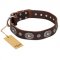 "Extra Pizzazz" FDT Artisan Adorned Brown Leather English Pointer Collar