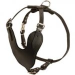 Adjustable Leather English Pointer Harness for Attack / Agitation Training