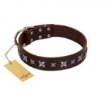 "Stellar Fairy " FDT Artisan Brown Leather English Pointer Collar with Chrome-plated Star-like Decorations