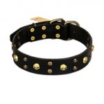"Heavy Metal" Leather English Pointer Collar with Skulls and Studs 1 1/2 inch (40 mm)