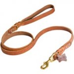 Walking and Training Leather English Pointer Leash with Comfy Handle
