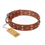 "Silver Elegance" FDT Artisan Decorated Leather English Pointer Collar with Old Silver-Like Plated Studs and Cones