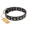 "Refined Essence" FDT Artisan Black Leather English Pointer Collar with Silvery Studs