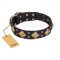 "Fancy-Schmancy" FDT Artisan Studded Leather English Pointer Collar