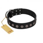 "Silent Star" Handmade FDT Artisan Designer Black Leather English Pointer Collar with Engraved Plates