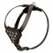 Designer Leather English Pointer Harness with Adjustable Straps for Puppy Walking and Training