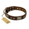 "Sparkling Bronze" FDT Artisan Genuine Leather English Pointer Collar with Bronze Look Stars and Plates