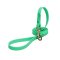 Green Waterproof English Pointer Leash Made of Biothane