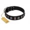 "Silver Spikes" Exclusive FDT Artisan Black Leather English Pointer Collar