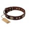 "Breath of Elegance" FDT Artisan Decorated with Plates Brown Leather English Pointer Collar