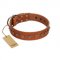 "Guard of Honour " Designer FDT Artisan Tan Leather English Pointer Collar with Small Dotted Pyramids