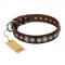 "Step and Sparkle" FDT Artisan Glamorous Studded Brown Leather English Pointer Collar