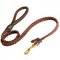 English Pointer Leather Braided Dog Leash