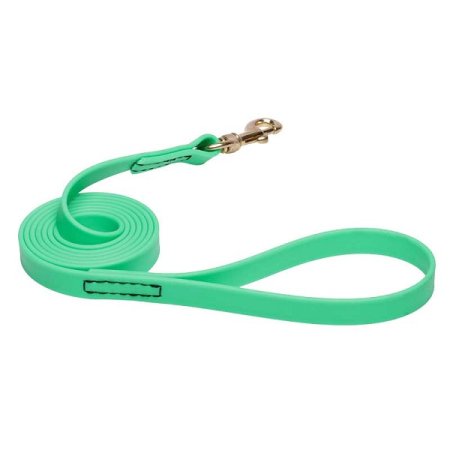 Green Waterproof English Pointer Leash Made of Biothane