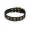 "Jolly Rojer" FDT Artisan Leather English Pointer Collar with Pirate Skulls and Studs - 1 1/2 inch (40 mm) wide