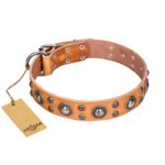 "Extra Sparkle" FDT Artisan Handcrafted Tan Leather English Pointer Collar