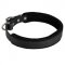 Padded Leather English Pointer Collar 25 mm for Dog Training