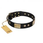 "Antique Gloss" FDT Artisan Black Leather English Pointer Collar with Bronze-like Plates and Small Studs
