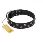 "Power-Flower" FDT Artisan Black Leather English Pointer Collar with Two Rows of Silver-like Studs with Engraved Flowers