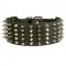 English Pointer Leather Collar Spiked and Studded