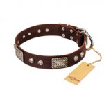 "Pirate Skull" FDT Artisan Brown Leather English Pointer Collar with Old Silver Look Plates and Skulls
