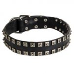 New Leather English Pointer Collar - Fashion Exclusive Design - "Caterpillar"