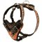 Handpainted in Flames Leather English Pointer Harness for Agitation Training