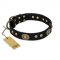 "High Fashion" FDT Artisan Studded with Plates Black Leather English Pointer Collar