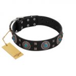 "Boundless Blue" FDT Artisan Black Leather English Pointer Collar with Chrome Plated Brooches and Square Studs