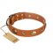 "Visual Magic" FDT Artisan Tan Leather English Pointer Collar for Daily Activities