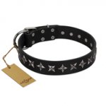 "Lights-out" FDT Artisan Black Leather English Pointer Collar with Silver-like Set of Stars