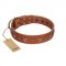 "Star Shine" Exclusive FDT Artisan Tan Leather English Pointer Collar with Silver-Like Adornments