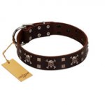 "Menacing Allure" FDT Artisan Brown Leather English Pointer Collar Embellished with Silvery Crossbones and Square Studs