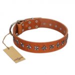 "Star Trek" FDT Artisan Tan Leather English Pointer Collar Decorated with Stars
